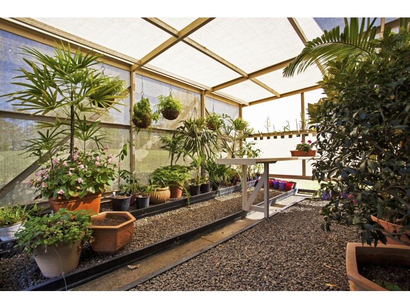 8 Old Coach Lane, Canina QLD 4570