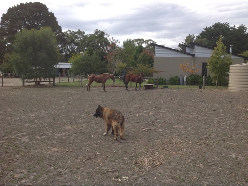 838 Flaxley road, Flaxley SA 5153