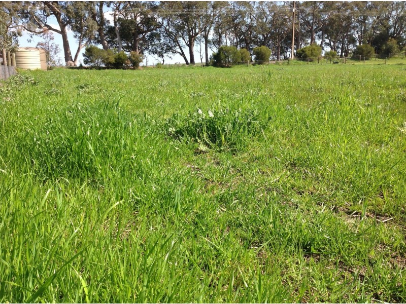 838 Flaxley road, Flaxley SA 5153