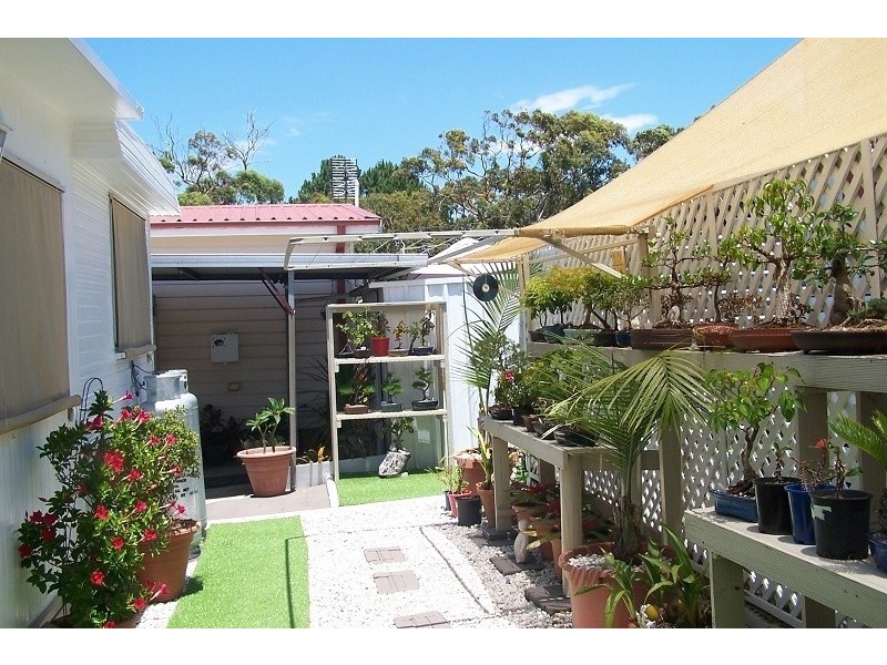 Site 124 – Bevington Shores Lifestyle Village/186 Sunrise Ave, Halekulani NSW 2262