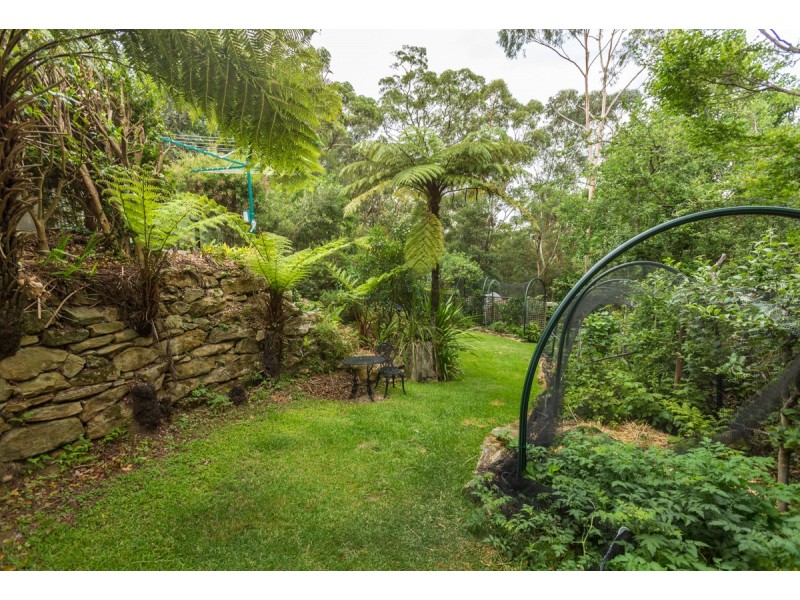 20 Davies Avenue, Springwood NSW 2777