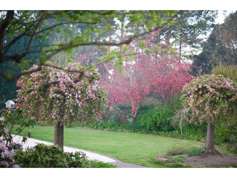 520a Moss Vale Road, Burradoo NSW 2576