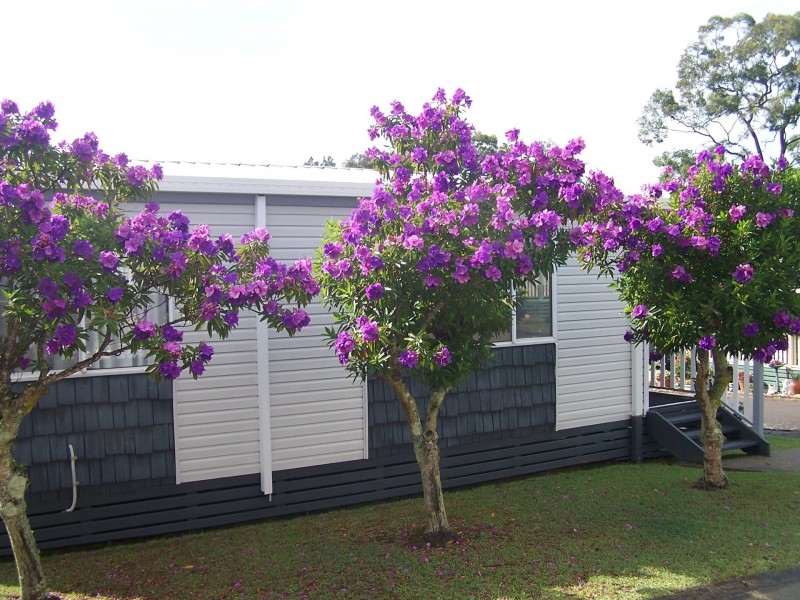 Unit 108/186 Sunrise Avenue, Halekulani NSW 2262