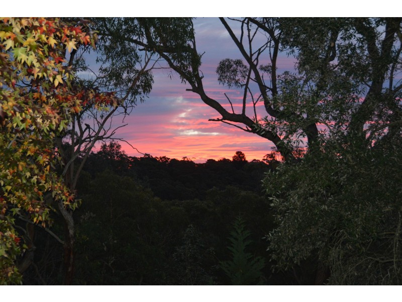 9 Davies Avenue, Springwood NSW 2777