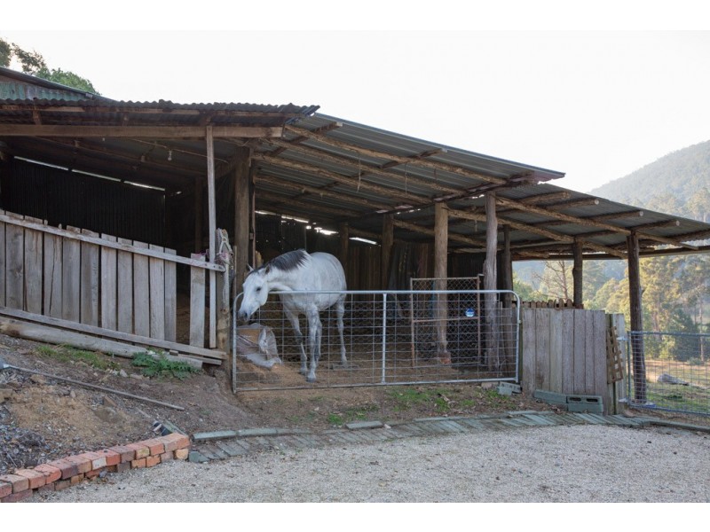 136 Camerons Road, Underwood TAS 7268