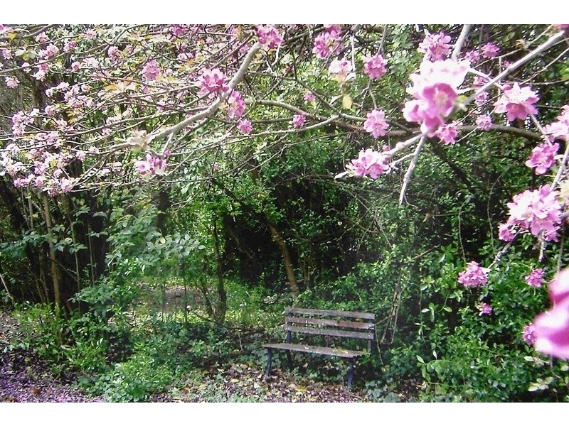 136 Handel Street, Armidale NSW 2350