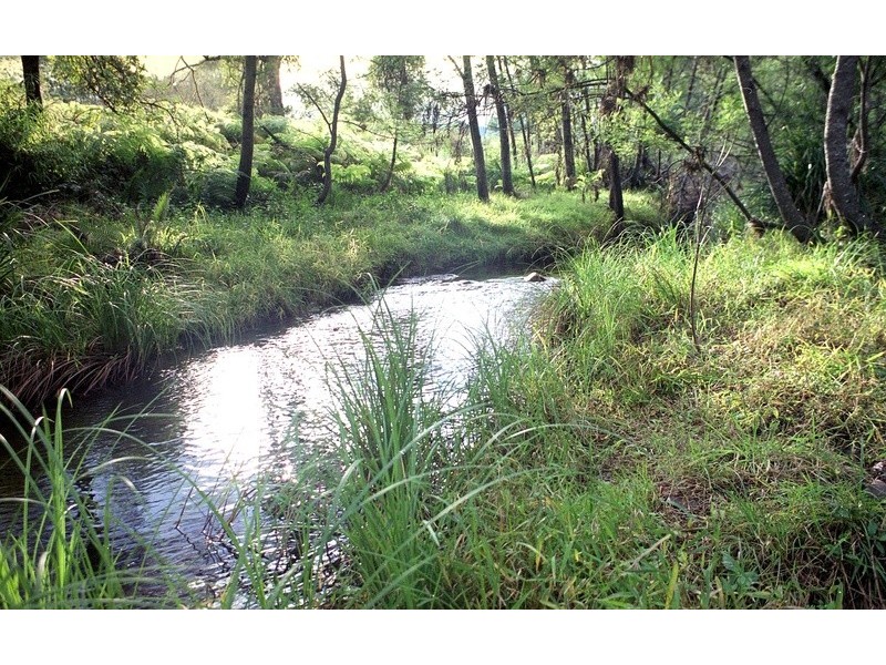 928 Mountain Road, Nerrigundah NSW 2545