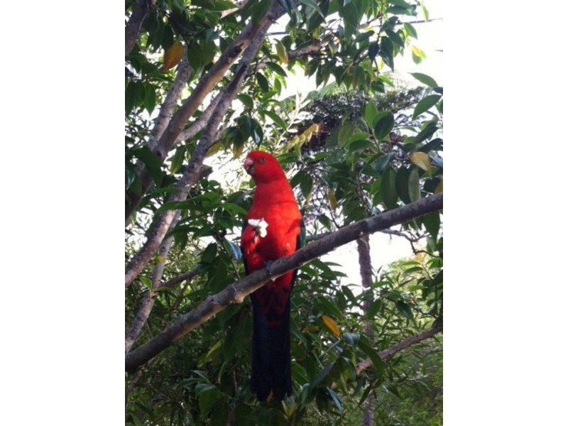 7/10 Harnett Avenue, Mosman NSW 2088