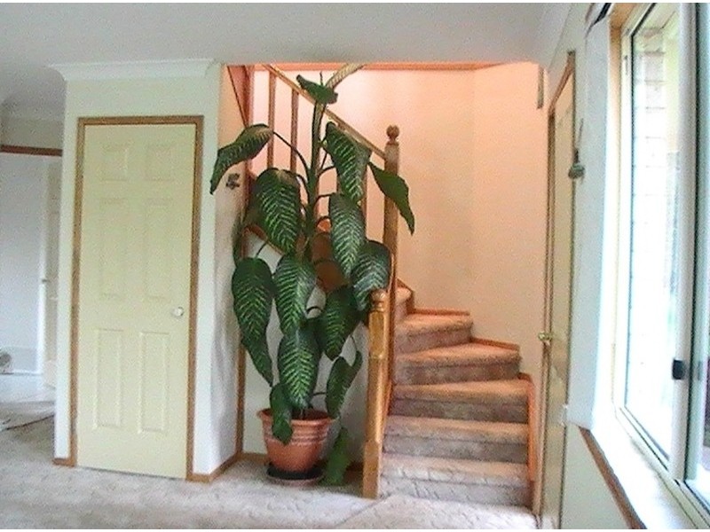 10 Borneo Court, Tamborine Mountain QLD 4272