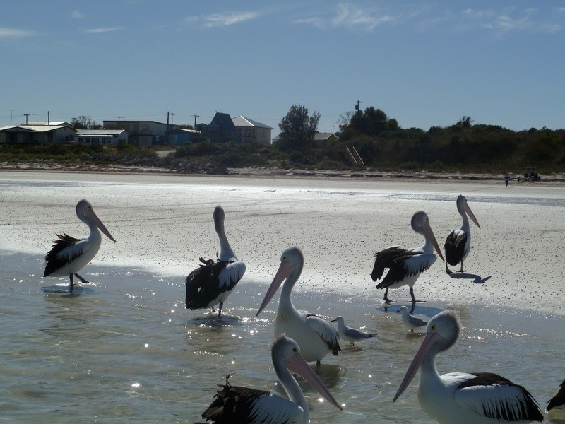 Lot 198 Bayview Road, Hardwicke Bay SA 5575