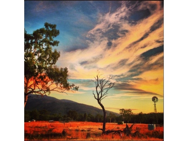 303 Williams Road, Alligator Creek QLD 4816