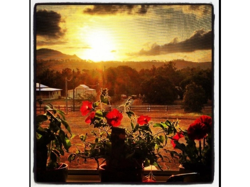 303 Williams Road, Alligator Creek QLD 4816