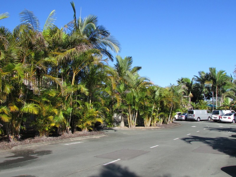 9 Lawrence Close, Robertson QLD 4109