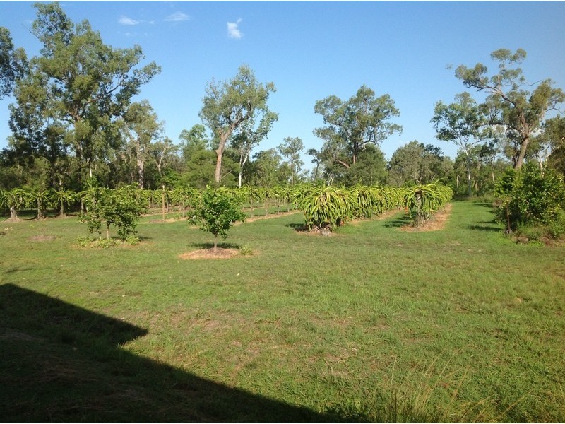 189 Forestry Road, Bluewater QLD 4818