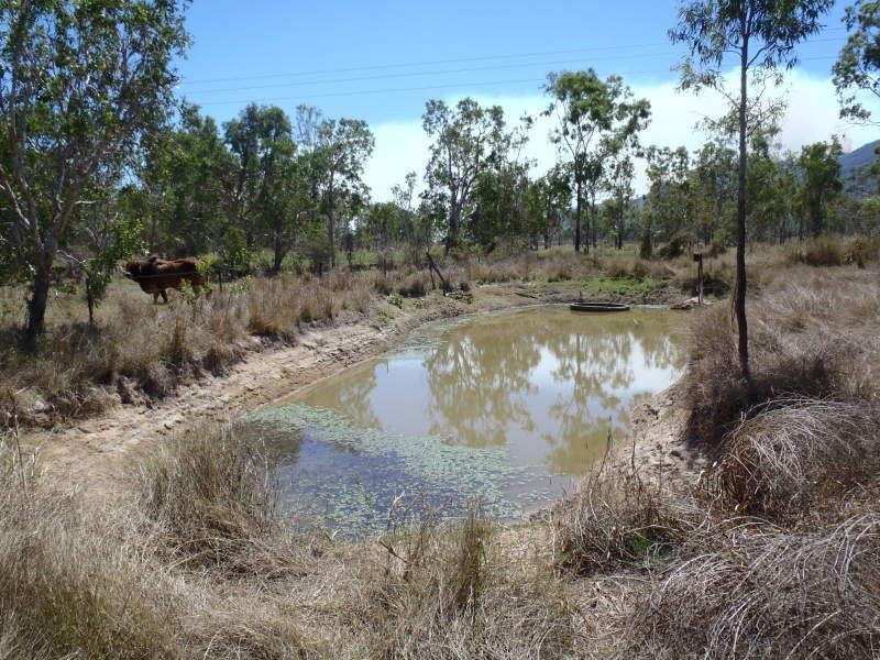 2931 Woodstock Giru Road, Majors Creek QLD 4816