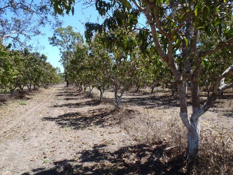 2931 Woodstock Giru Road, Majors Creek QLD 4816