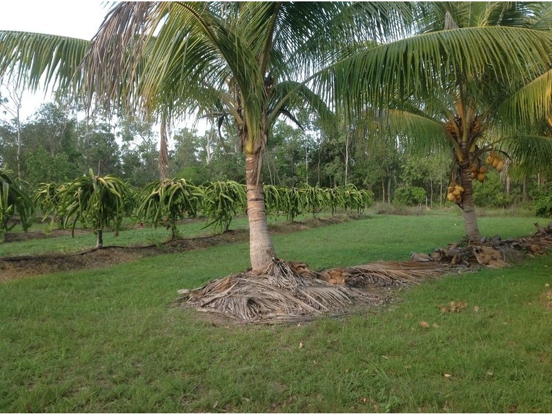 189 Forestry Road, Bluewater QLD 4818