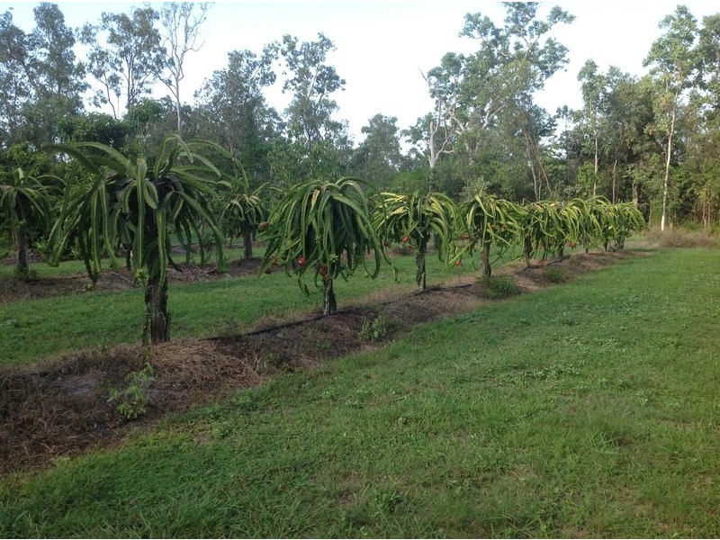 189 Forestry Road, Bluewater QLD 4818