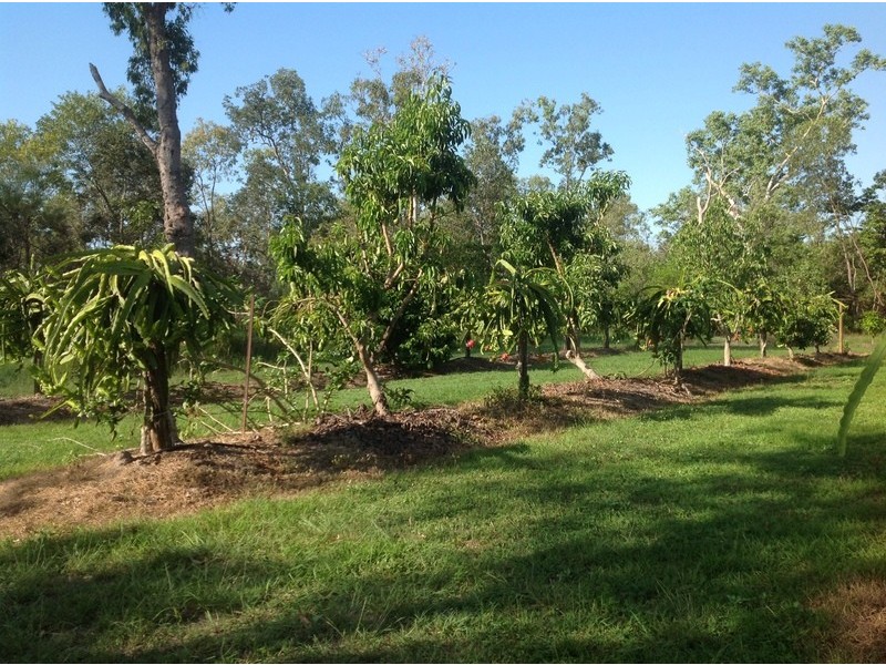 189 Forestry Road, Bluewater QLD 4818