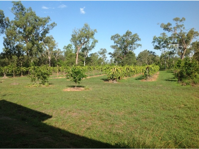 189 Forestry Road, Bluewater QLD 4818