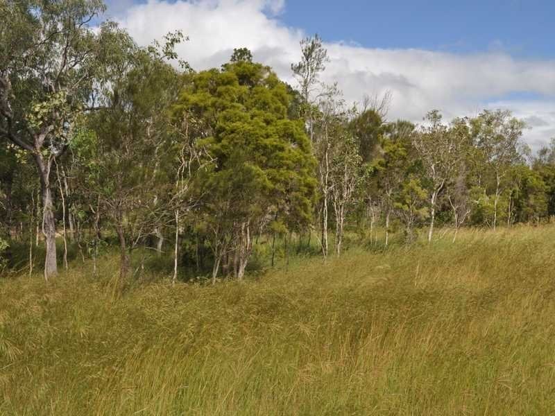 Lot 233 Bilwon Road, Biboohra QLD 4880