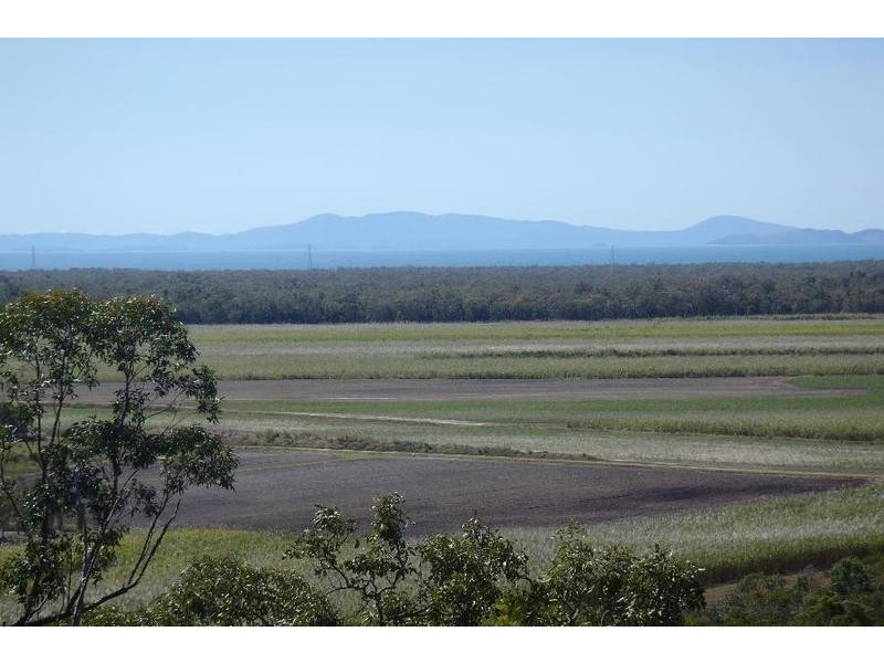 351 Barrett Road, Mutarnee QLD 4816