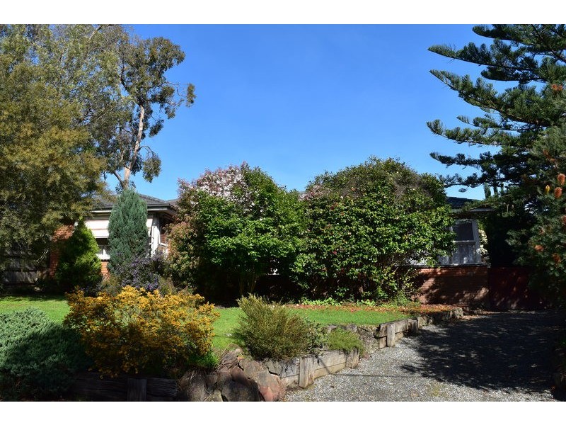 8 Munro Street, Mitcham VIC 3132
