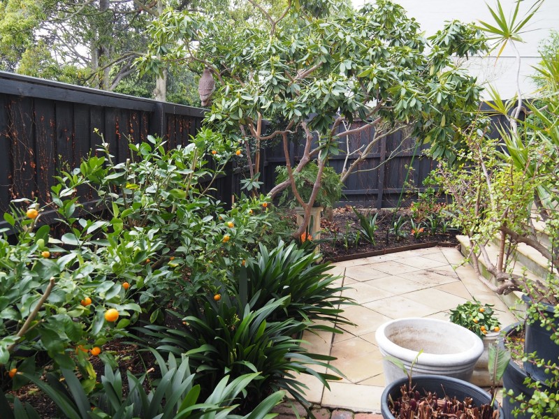 9/3 Struan Street, Toorak VIC 3142