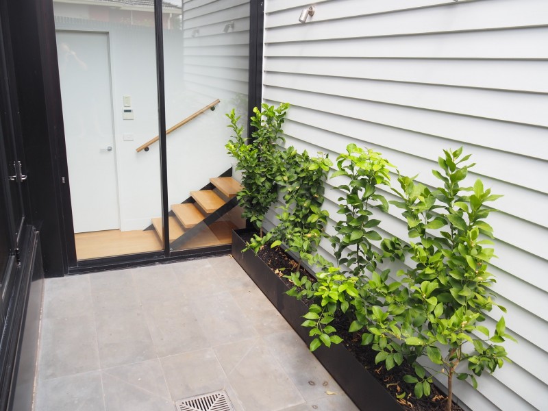 3 Carroll Street, Richmond VIC 3121