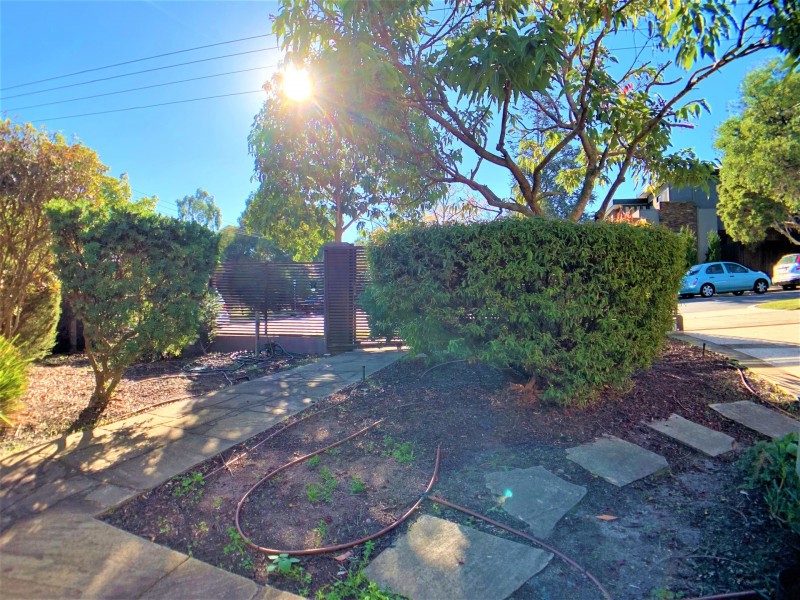 8 Bluff Street, Hawthorn East VIC 3123