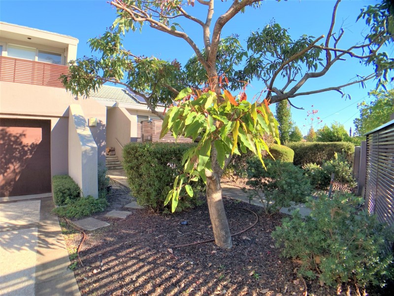 8 Bluff Street, Hawthorn East VIC 3123