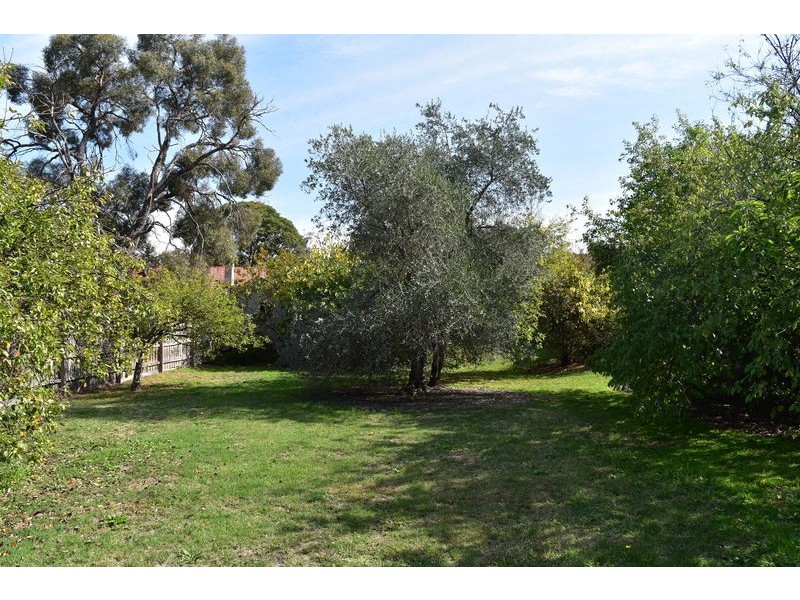 17 Acheron Avenue, Camberwell VIC 3124
