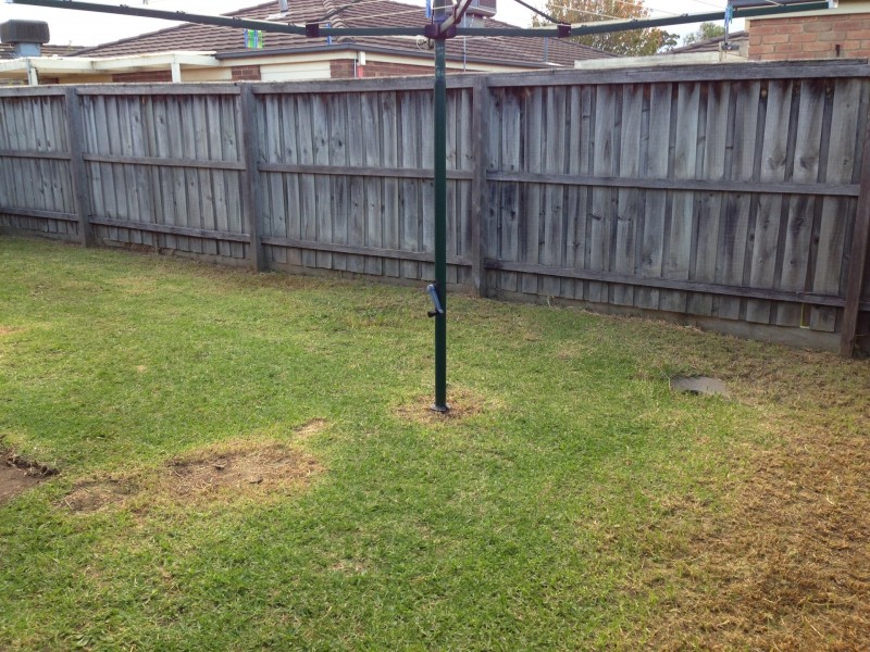 16 Baradine Street, Chadstone VIC 3148