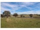 387 Strathmore Lane, Molong NSW 2866
