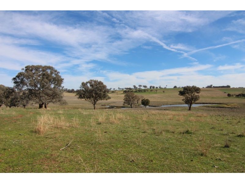 387 Strathmore Lane, Molong NSW 2866