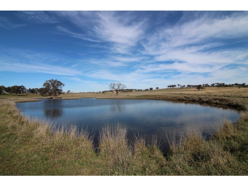387 Strathmore Lane, Molong NSW 2866