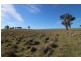 387 Strathmore Lane, Molong NSW 2866
