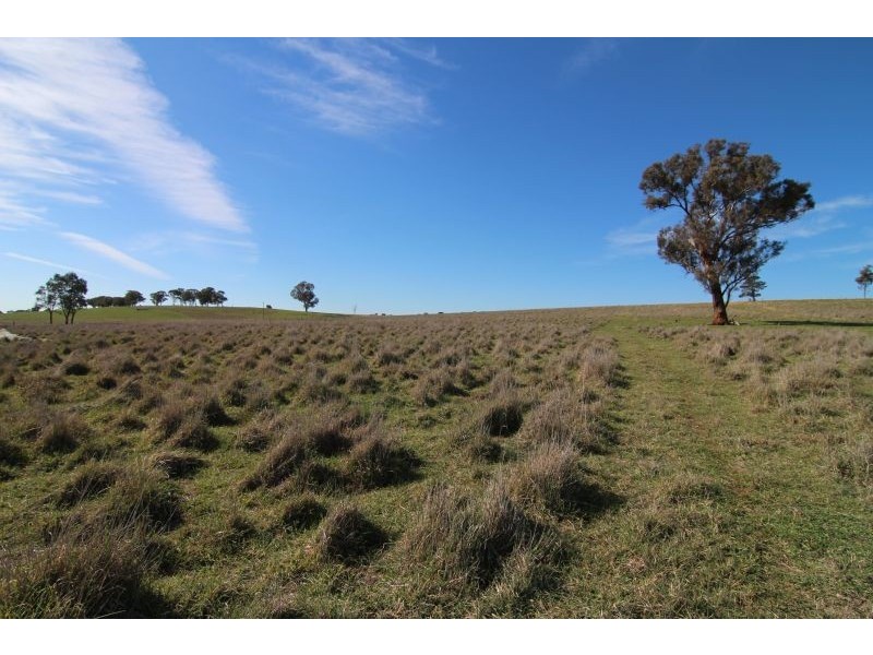 387 Strathmore Lane, Molong NSW 2866