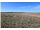 387 Strathmore Lane, Molong NSW 2866