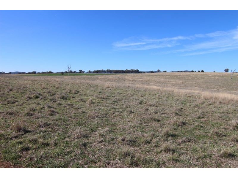 387 Strathmore Lane, Molong NSW 2866