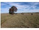 387 Strathmore Lane, Molong NSW 2866
