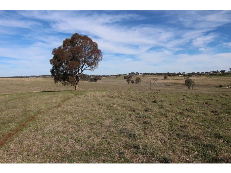 387 Strathmore Lane, Molong NSW 2866