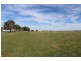 387 Strathmore Lane, Molong NSW 2866
