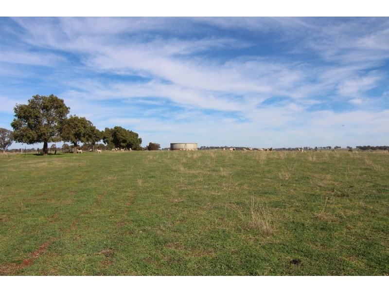 387 Strathmore Lane, Molong NSW 2866
