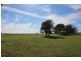 387 Strathmore Lane, Molong NSW 2866