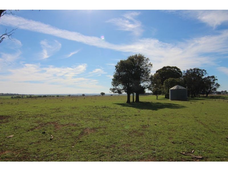 387 Strathmore Lane, Molong NSW 2866