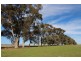 387 Strathmore Lane, Molong NSW 2866