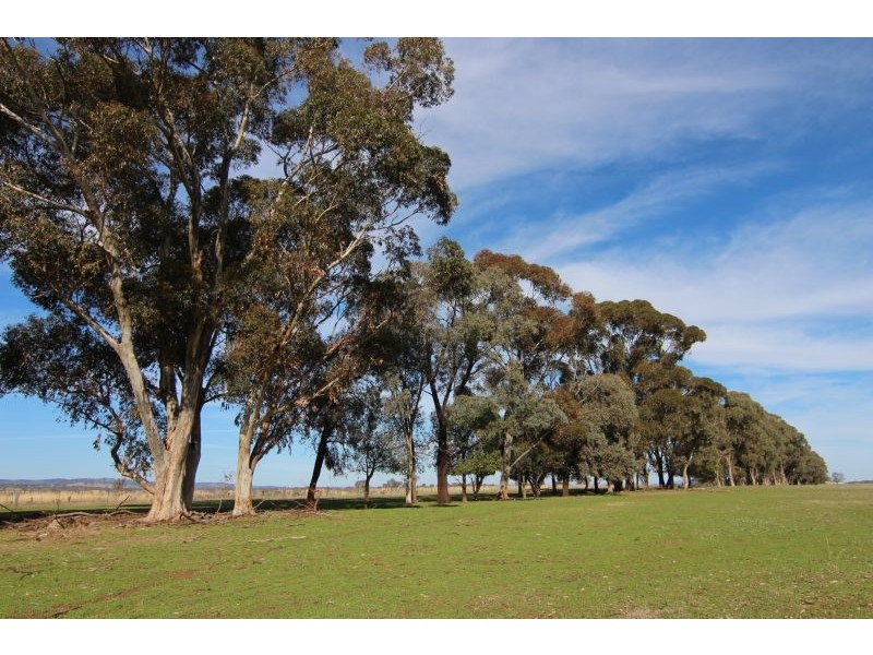 387 Strathmore Lane, Molong NSW 2866