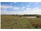 387 Strathmore Lane, Molong NSW 2866