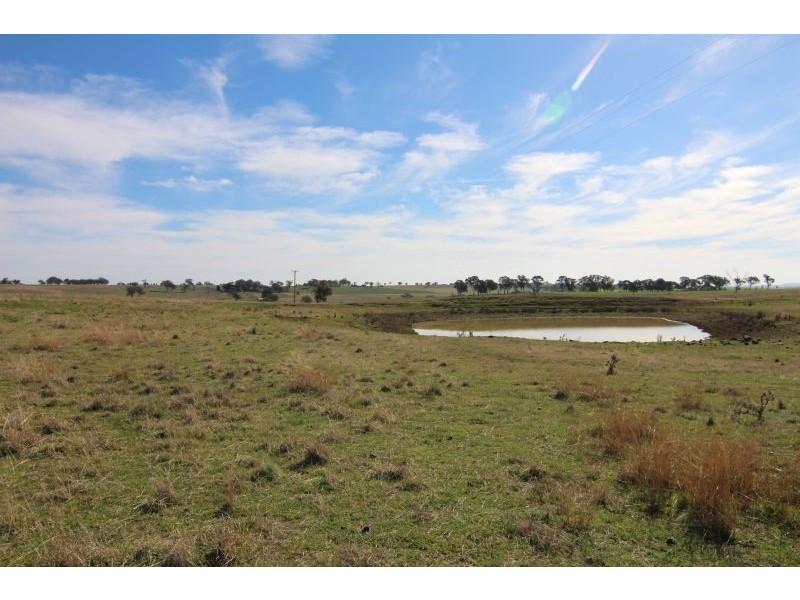 387 Strathmore Lane, Molong NSW 2866